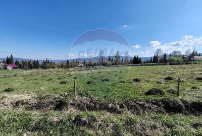 Teren intravilan in Suceava,Neagra Sarului,3002m.p.la 20km de V.Dornei - 6