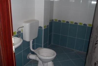 Spațiu comercial, de 1,000 mp, în Micălaca - 3