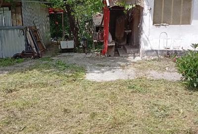 Casă cu Teren 5741 Mp în Lunca Mureșului - 3