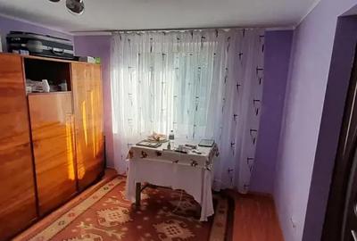 Casă cu 3 camere cu Teren 3850 Mp în Mitoc - 7