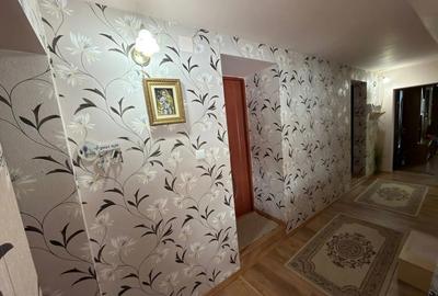 Vand casa Beregsau Mic - 6