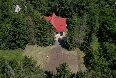 Casa cu teren generos refugiul perfect in Paltinoasa... - 21