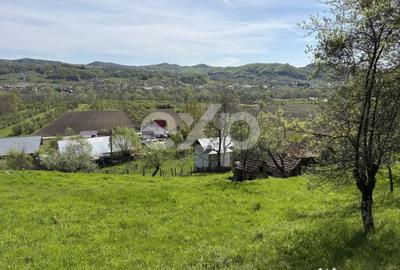Teren în Bârseștii de Sus - 2