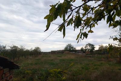 Vand casa sat Ivanda comuna Giulvaz Proprietar - 8