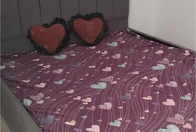 Primesc in gazda intr-o camera la vila din Vi?ani - 3