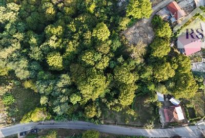Teren de vanzare , 4834 MP, zona Vladesti - 3