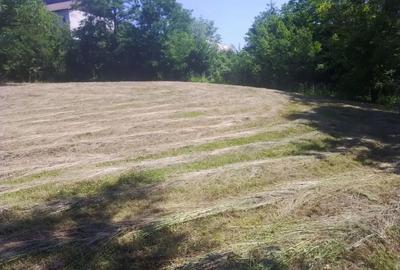 Teren de 4000 mp, în Copăceni - 5