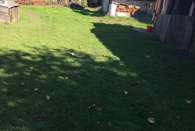 Casă cu 3 camere în Corbii Mari - 6