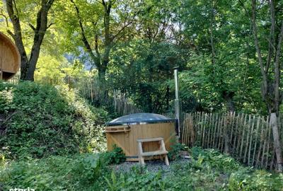 Casă cu 2 camere cu Teren 645 Mp în Sălciua - 10