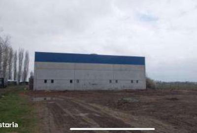 Spațiu comercial, de 91,412 mp, în Jebel - 1