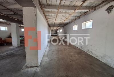 COMISION 0% Spatiu industrial de 695 mp si teren de 1821 mp - Giulvaz - 17