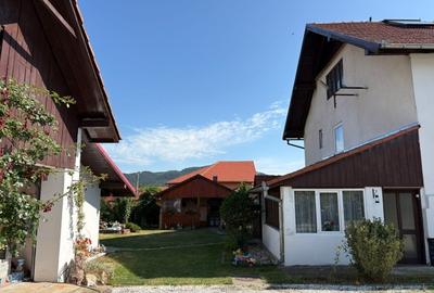 Casă Spațioasă și Domeniu Generos de Vânzare în sat Râu Barbat, comuna Pui, HD - 10