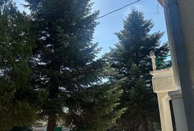 Vila Individuala Bucurestii Noi Vila Individuala Bucurestii Noi - 19