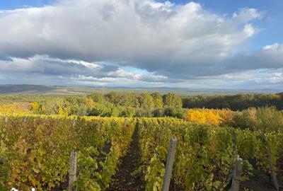 Teren de 4280 mp, în Valea Călugărească