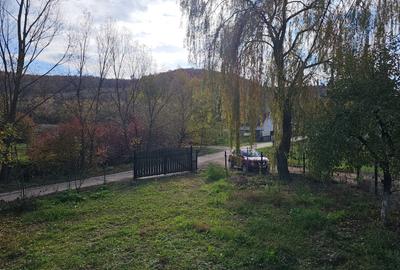 Casa Soimus ,Valea Boholtului - 7