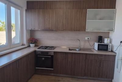 Casă cu 3 camere cu Teren 300 Mp în Bucovăț (Remetea Mare) - 8