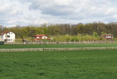 Teren langa padure si utilitati,800 mp - 23