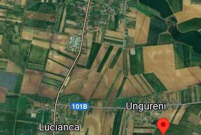 Vanzare 2500 mp, sau 5000 mp, sau 7500 mp teren in Butimanu apropierea Bucuresti pret negociabil - 2