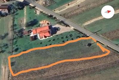 Teren de 3000 mp, în Vața de Jos - 1