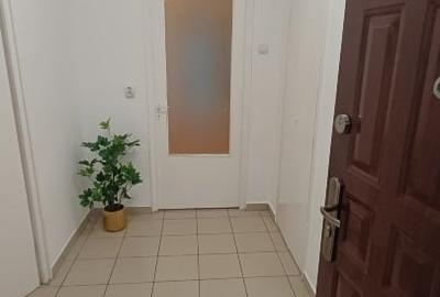 Apartament cu 2 camere semidecomandat în Gorjului - 9