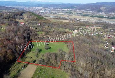 Teren 13.643 mp intravilan de vanzare in Curtea de Arge?. - 15