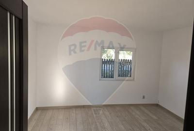 Casa noua + casa veche boiereasca renovabila - 2