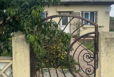 Casa cu pod mansardabil, 20 km de Delta Dunarii - 11