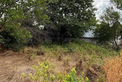 Casă cu Teren 943 Mp în Vâlcelele - 4