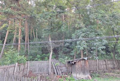 Casă cu 3 camere în Central - 1