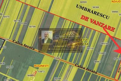 Teren de 6797 mp, în Ruginești - 1