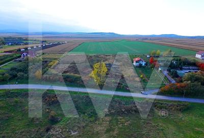 Teren Construcții intravilan de 4270 mp, în Ocna Sibiului - 3