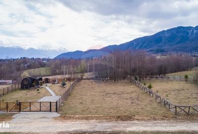 Spațiu comercial, în Predeluț - 7