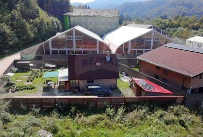 Teren pentru Vila in Bunloc: Oportunitate Premium - 8