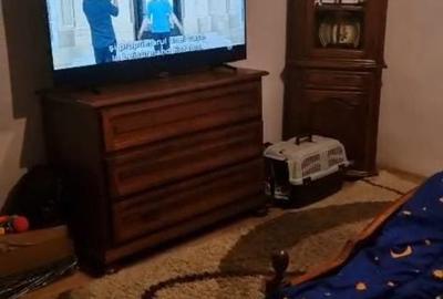 Casă cu 3 camere în Central - 1