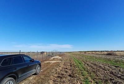 Teren Construcții intravilan de 800 mp, în Corbeanca - 2