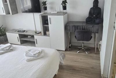 Garsonieră nedecomandată în Buziașului - 5