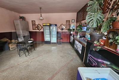 Spațiu comercial, de 266 mp, în Central - 5