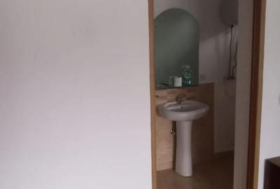 Casă cu 2 camere în Chistag - 6