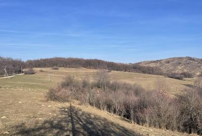 Spațiu comercial, în Tomnatic - 3