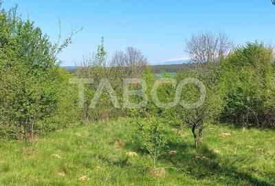 Teren intravilan 4280 mp acces la drum si utilitati zona deosebita Teren intravilan 4280 mp acces la drum si utilitati zona deosebita - 3