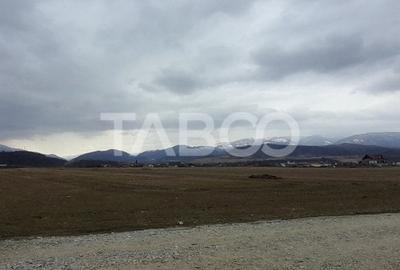 Teren intravilan 11.400 mp deschidere 45 ml in Talmaciu zona de case - 2