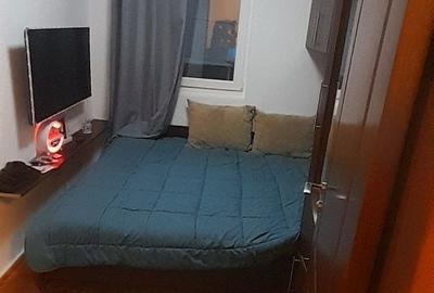 Apartament cu 2 camere decomandat în Mureșeni - 7