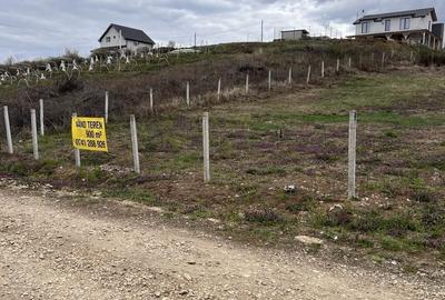 Teren de 900 mp, în Săldăbagiu de Munte - 1