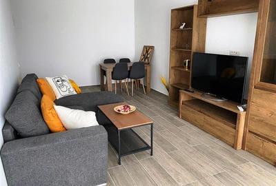 Apartament cu 2 camere decomandat, mobilat în Albert - 5