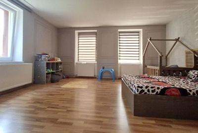 Casă deosebită cu garsonieră separată – Vulcan - 2