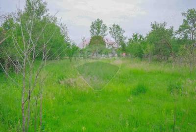 Casa de vanzare cu 3 camere ?i teren 1700 mp, in Capalna - 9