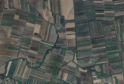 Teren de 120000 mp, în Mișca - 1