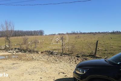 Teren de 2338 mp, în Bălești - 4