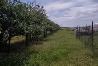 Casa de vanzare - 5