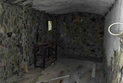 Casă cu Teren 552 Mp în Băiuț - 9